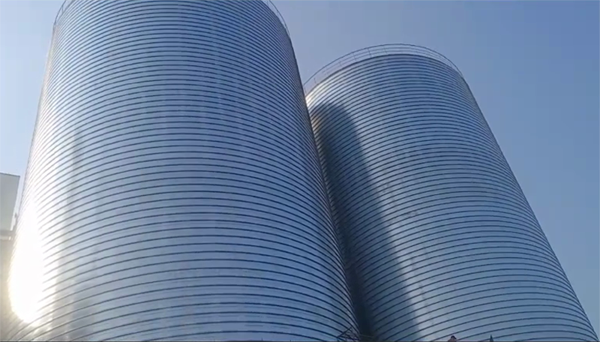 龙州2座混凝土高架卷板仓